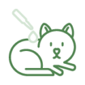allergy allergy